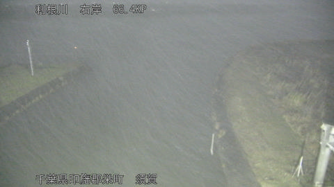 tonsu2026010221_image