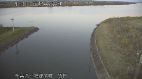 tonsu2026010417_image