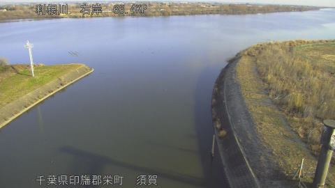 tonsu2026010509_image