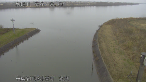 tonsu2026010709_image