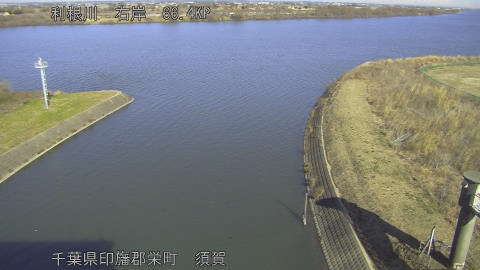 tonsu2026010812_image