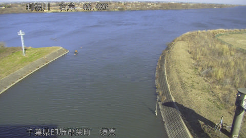 tonsu2026011012_image