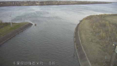 tonsu2026011017_image