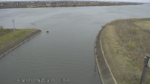 tonsu2026011109_image