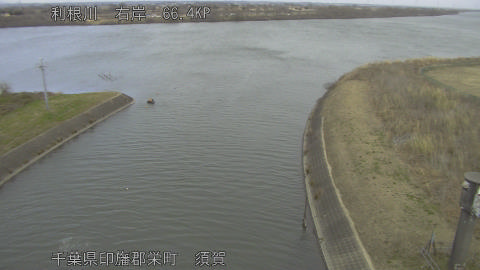 tonsu2026011111_image