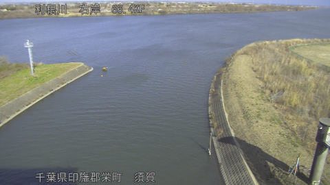 tonsu2026011112_image