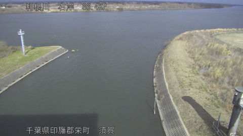 tonsu2026011113_image