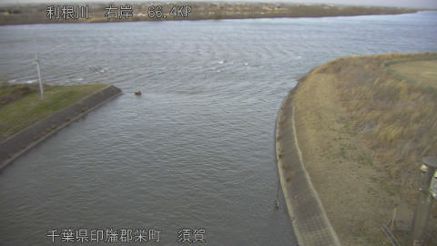 tonsu2026011117_image