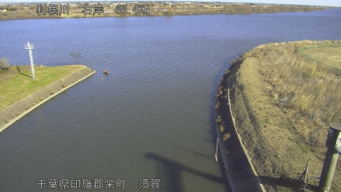 tonsu2026011210_image