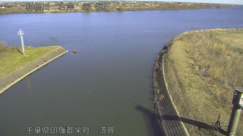 tonsu2026011211_image