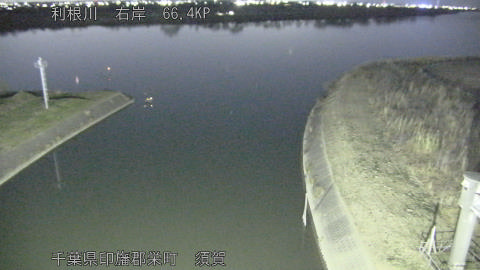 tonsu2026011219_image