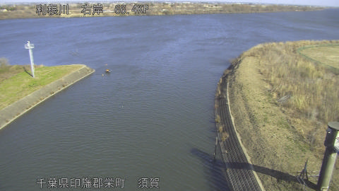 tonsu2026011311_image