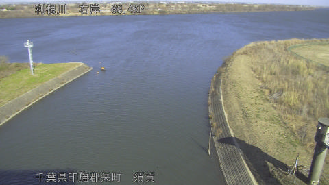 tonsu2026011312_image