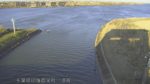 tonsu2026011316_image