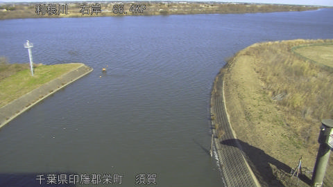 tonsu2026011412_image