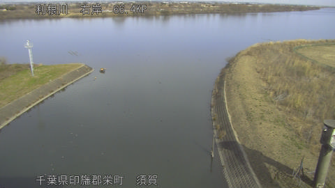 tonsu2026011512_image