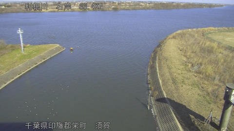 tonsu2026011612_image