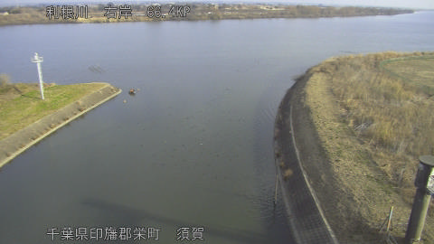 tonsu2026011709_image