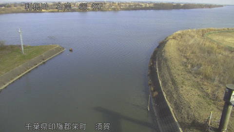 tonsu2026011710_image