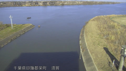 tonsu2026011714_image