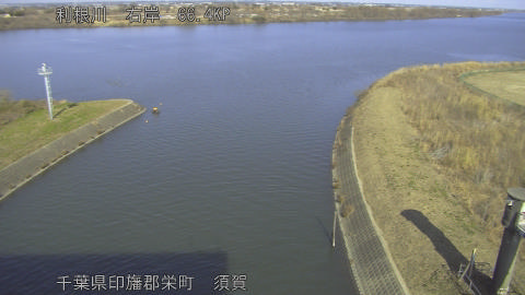 tonsu2026011813_image