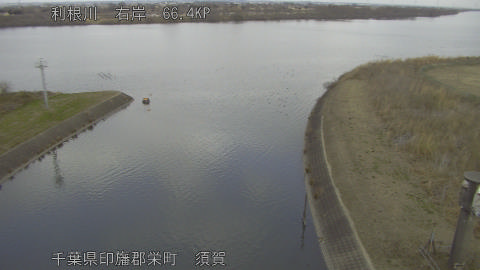 tonsu2026011912_image