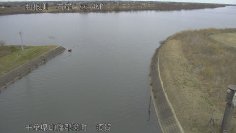 tonsu2026012011_image