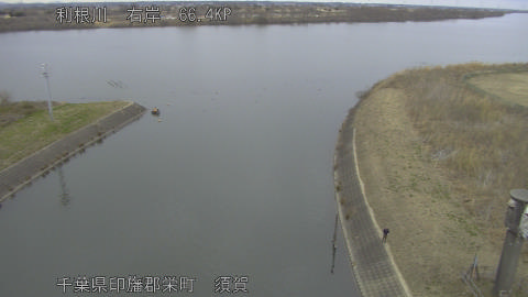 tonsu2026012012_image