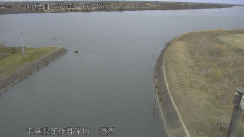 tonsu2026012013_image