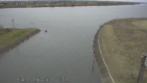 tonsu2026012014_image