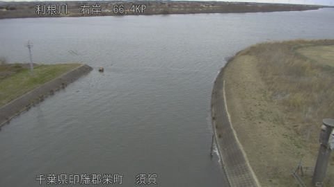 tonsu2026012015_image