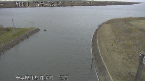 tonsu2026012016_image