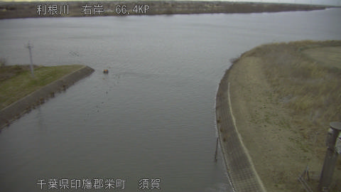 tonsu2026012017_image