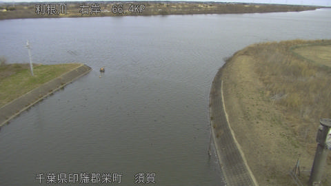 tonsu2026012111_image