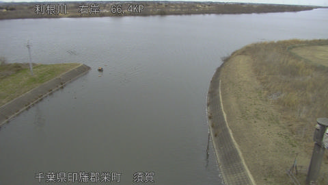 tonsu2026012112_image