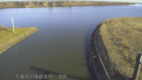 tonsu2026012309_image