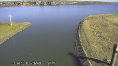 tonsu2026012311_image