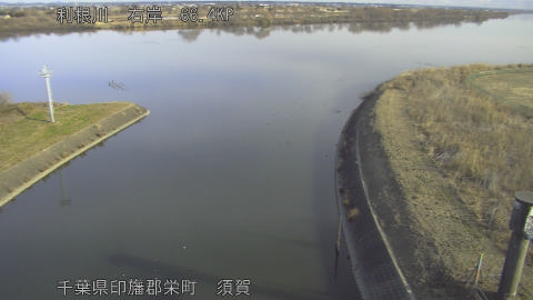 tonsu2026012609_image