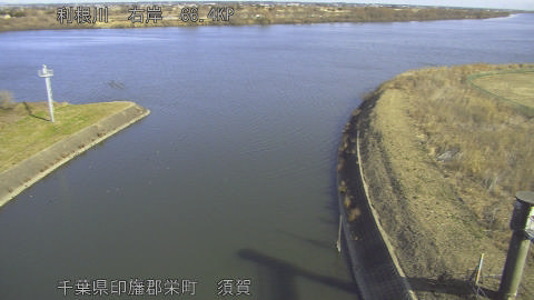 tonsu2026012610_image