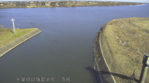 tonsu2026012611_image