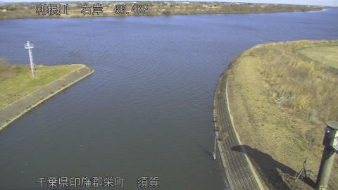 tonsu2026012612_image