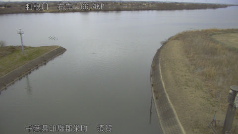 tonsu2026012817_image