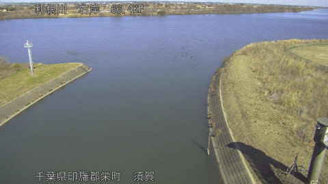 tonsu2026012912_image