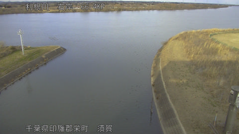 tonsu2026012916_image