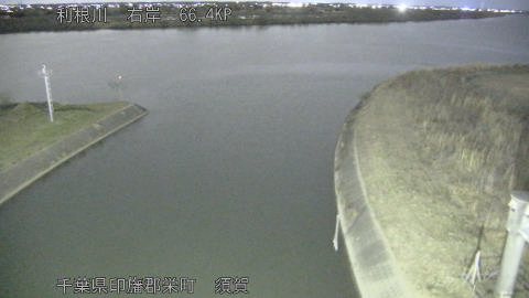 tonsu2026012921_image