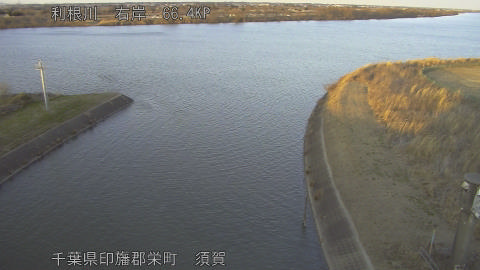 tonsu2026013017_image