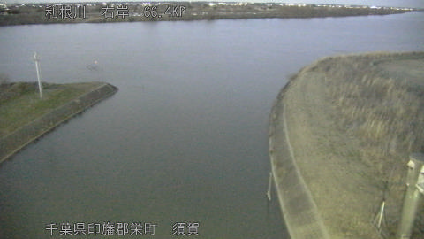 tonsu2026013018_image