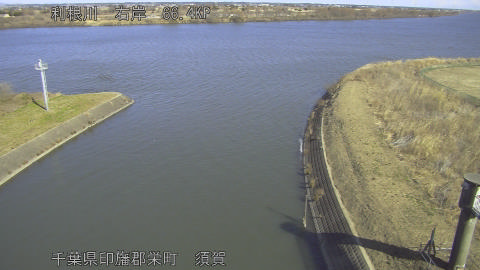 tonsu2026013111_image