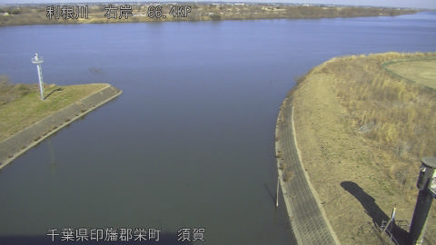 tonsu2026020113_image