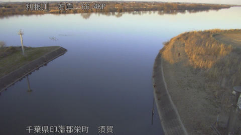 tonsu2026020117_image